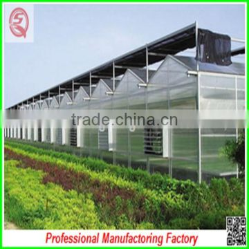 Hard and durable steel profiles polycarbonate sheet greenhouses for sale