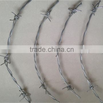high discount 12x14 16x16 pvc coated galvanized barbed wire coil in production