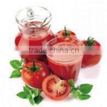 Whole line of tomato paste production machines