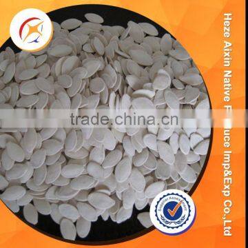 White Pumpkin Seeds Size -11cm