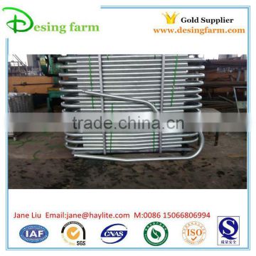Hot dip galvanized dairy equipment cow free stall for sale