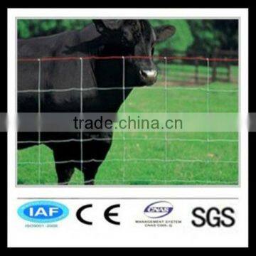 Cattle Mesh Fence / Galvanized Cattle Mesh Fences( ISO 9001:2008 , 15 year factory )