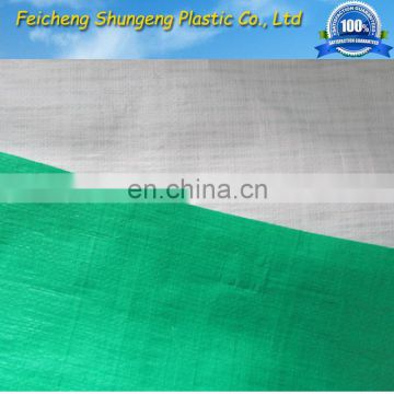 100% new material 55g light duty bule color pe fabric sheet/tarps for cover or ground sheet