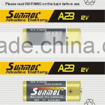 12v 23a dry battery manufacturer