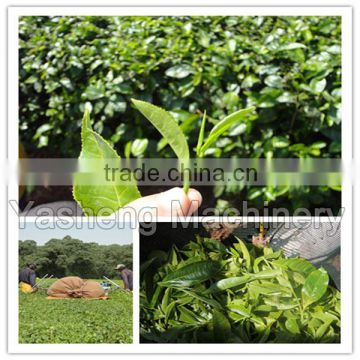 tea leaf plucking machinery for sale