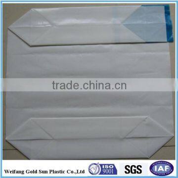 Transparent PE plastic bag/valve bag with square bottom