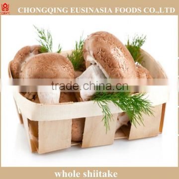 Dried cultivated oyster shiitake mushroom export price