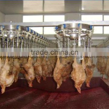 poultry slaughterhouse bleeding line