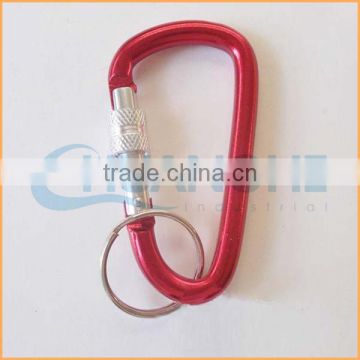Fashion High Quality carabiner with ring
