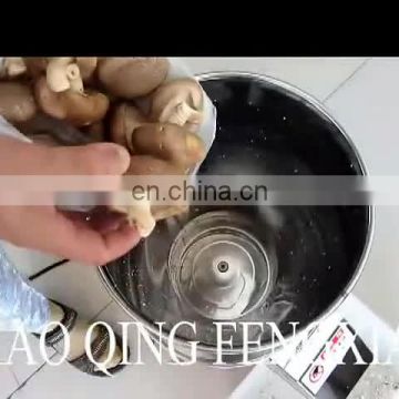 Small Electric Different Vegetable Cabbage Melon Carrot Ginger Chopping Grinding Machine,Celery Chopper