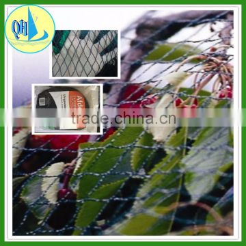 High Quality PE Plastic agricultural equipment anti bird net