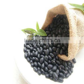 JSX excellent black soybeans green kernel low price free sample bean