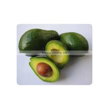 avocado oil for sales