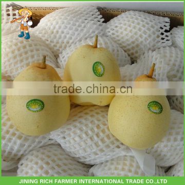 Hebei High Quality New Crop Fresh Ya Pear