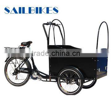 3 wheel cargo electric tricycle for family