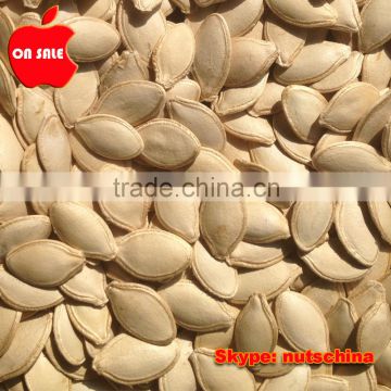 2014 crop shine skin pumpkin seeds 10cm up 11cm up