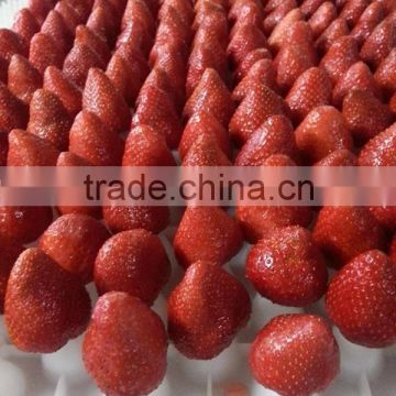 IQF Frozen strawberry with BRC Kosher certificate