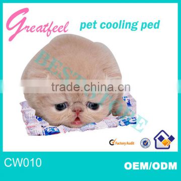 updated pet cool bed removable cushion for special cute pets
