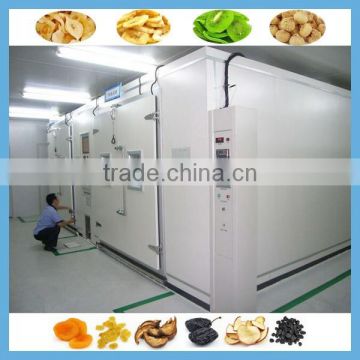 Professional Manufacture Widely Used Industrial Fruit Food Dehydrator Machine