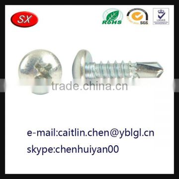 Dongguan Hardware Factory custom steel screw