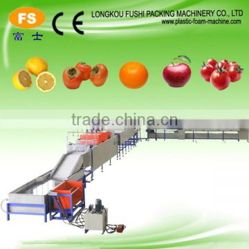 Citrus/Mandrin/Orange Washing Waxing Machine