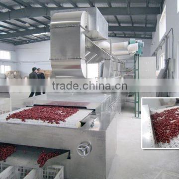 Industrial tunnel type microwave red dates dryer & sterilizer