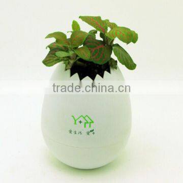 Wholesale X-mas Gift Mini Decrotive Plastic Plant Pot China Supplier