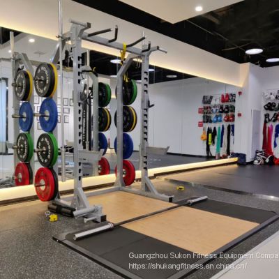SK-919 Squat rack with lifting platform gym machine functional equipment