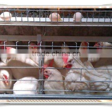 Focus industry design chicken coopchicken floor raising cage raising equipment