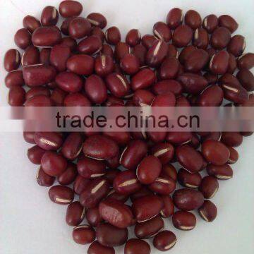 Adzuki Bean for sweet red bean paste/Small Red Bean( 2011 crop) Hps