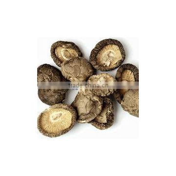 Brown dried shiitake mushroom whole