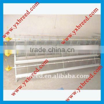 China factory automatic poultry farm house