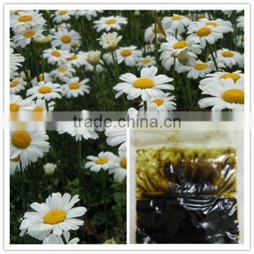 Household raw material mosquitocide organic pyrethrum