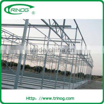 Agricultural Tomato Plastic Greenhouse for Sale