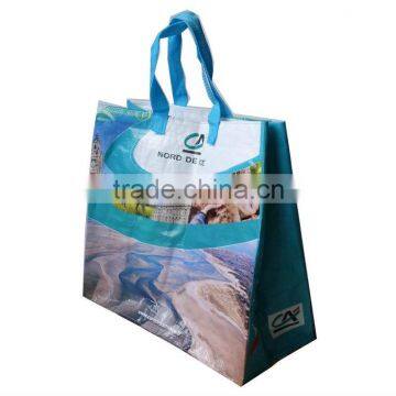 Printed Pp Shopping Bag