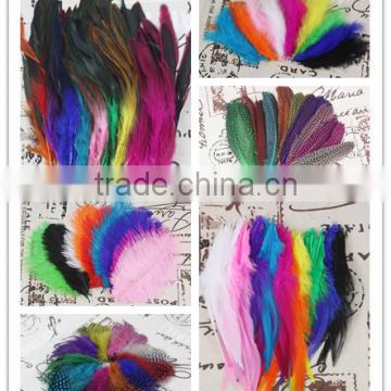 Various Feathers for DIY/Party Decoration