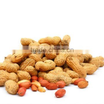 Raw Peanut For Different Styles