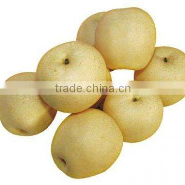 Chinese Fresh Golden Pear Hot Sell