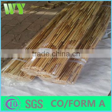 natural eco-friendly bamboo reed poles