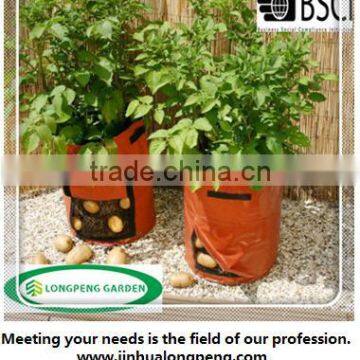 High Quality PE Orange Potato Patio Planter Bag,Growing Bag