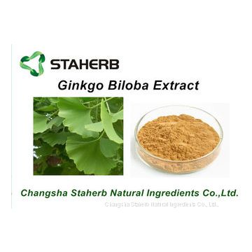 Ginkgo Biloba Extract CAS No. 90045-36-6 Antibacterial Pure Natural Plant Extracts /