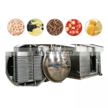 Vacuum Freeze Dryer Fruit and Vegetables Processing Equipment Line