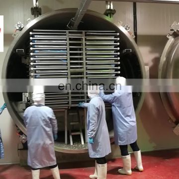 Hot sale industrial commercial lyophlizer freeze drying machine with air compressor dryer