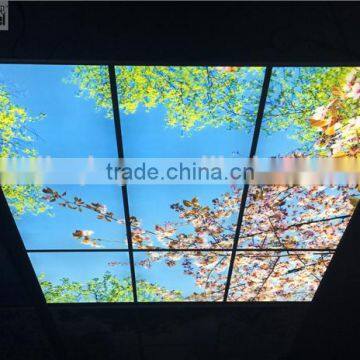 2015 led sky ceiling panel blossom image