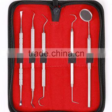 Dental Set Zahnreinigung Sonde Zahnpflege Edelstahl Instrument Zahnkratzer