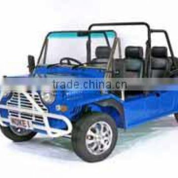 New Vision Electric Power Mini Moke By SKD Or CKD