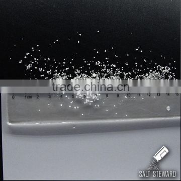 Sodium Sulfate Anhydrous Na2SO4 100mesh