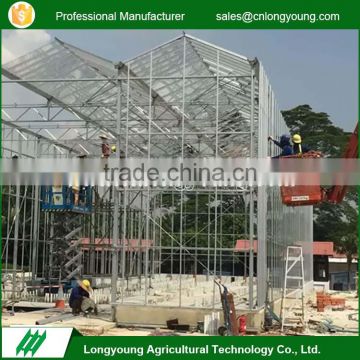 Fashion professional agricultural stable structure glass greenhouse