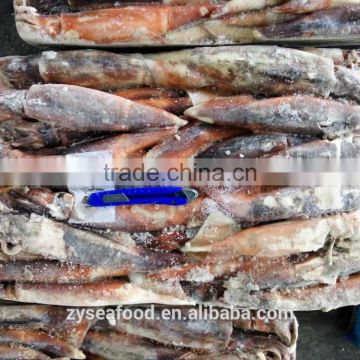 2017 New arrival frozen bulk Argentina squid/Illex argentinus