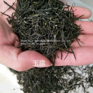 Hubei enshi se-rich tea produced and sold by oneself Fried green tea commercial gift wholesale enshi yulu